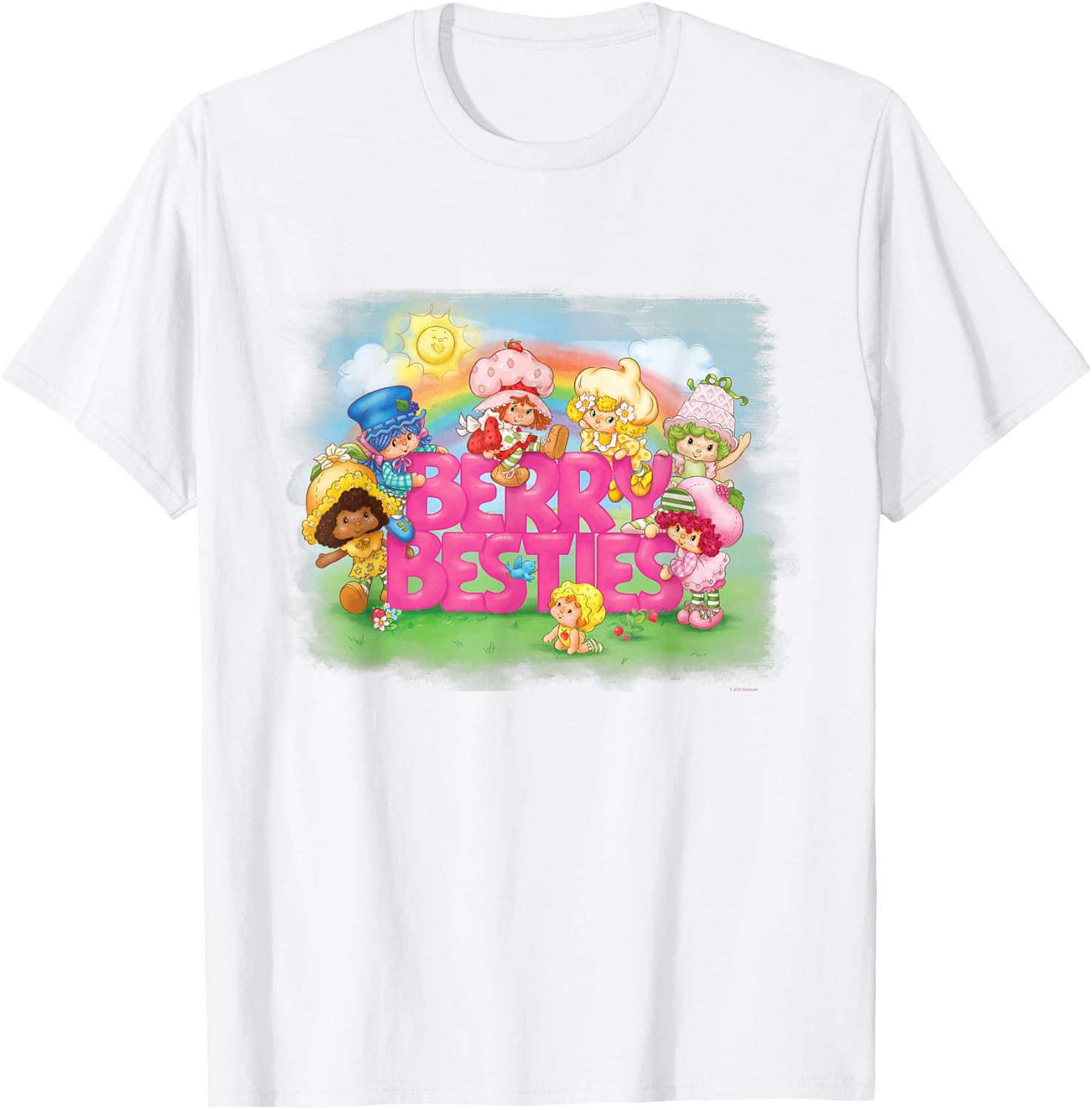 Strawberry Shortcake Berry Besties Garden Rainbow Group T-Shirt