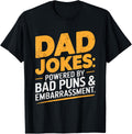 Funny Dad Joke Retro Humor Classic Vintage Father's Day T-Shirt