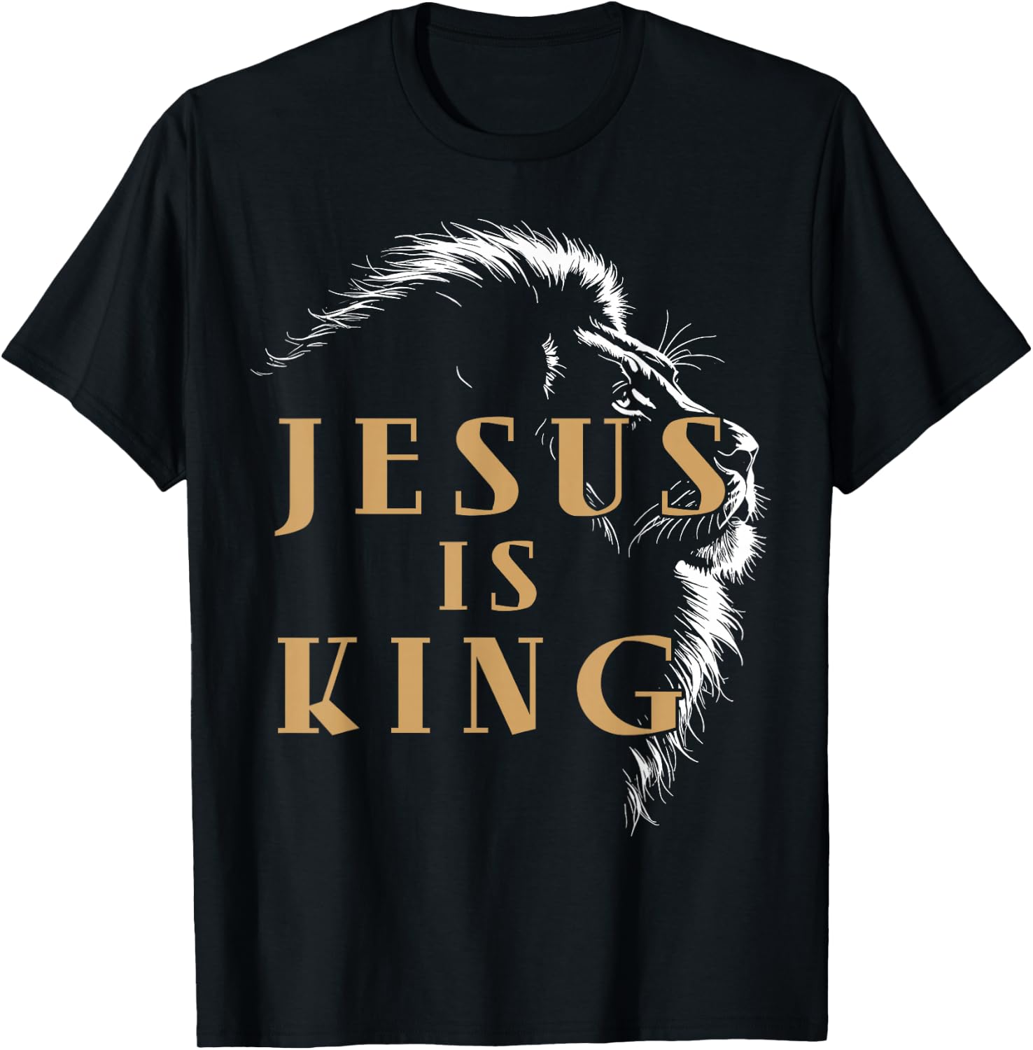 Jesus is King Lion of Judah Shirt, Christian Faith T-Shirt