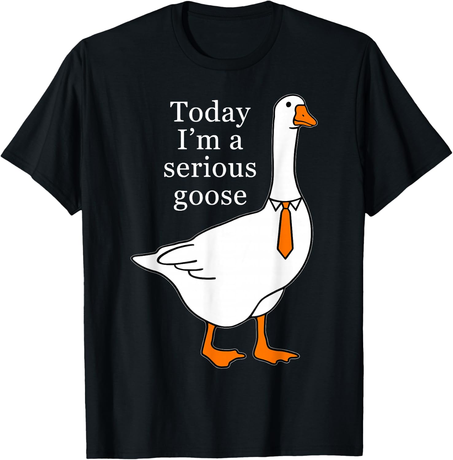 Today I'm A Serious Goose T-Shirt, Small, Black
