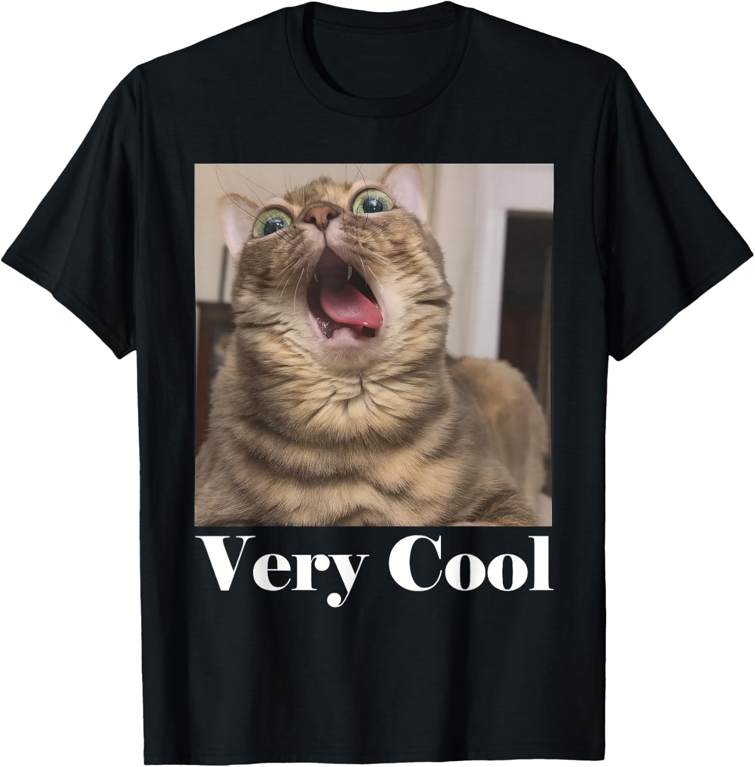 Cats Meme Graphic Silly Cat Humor Funny Cat Very Cool T-Shirt